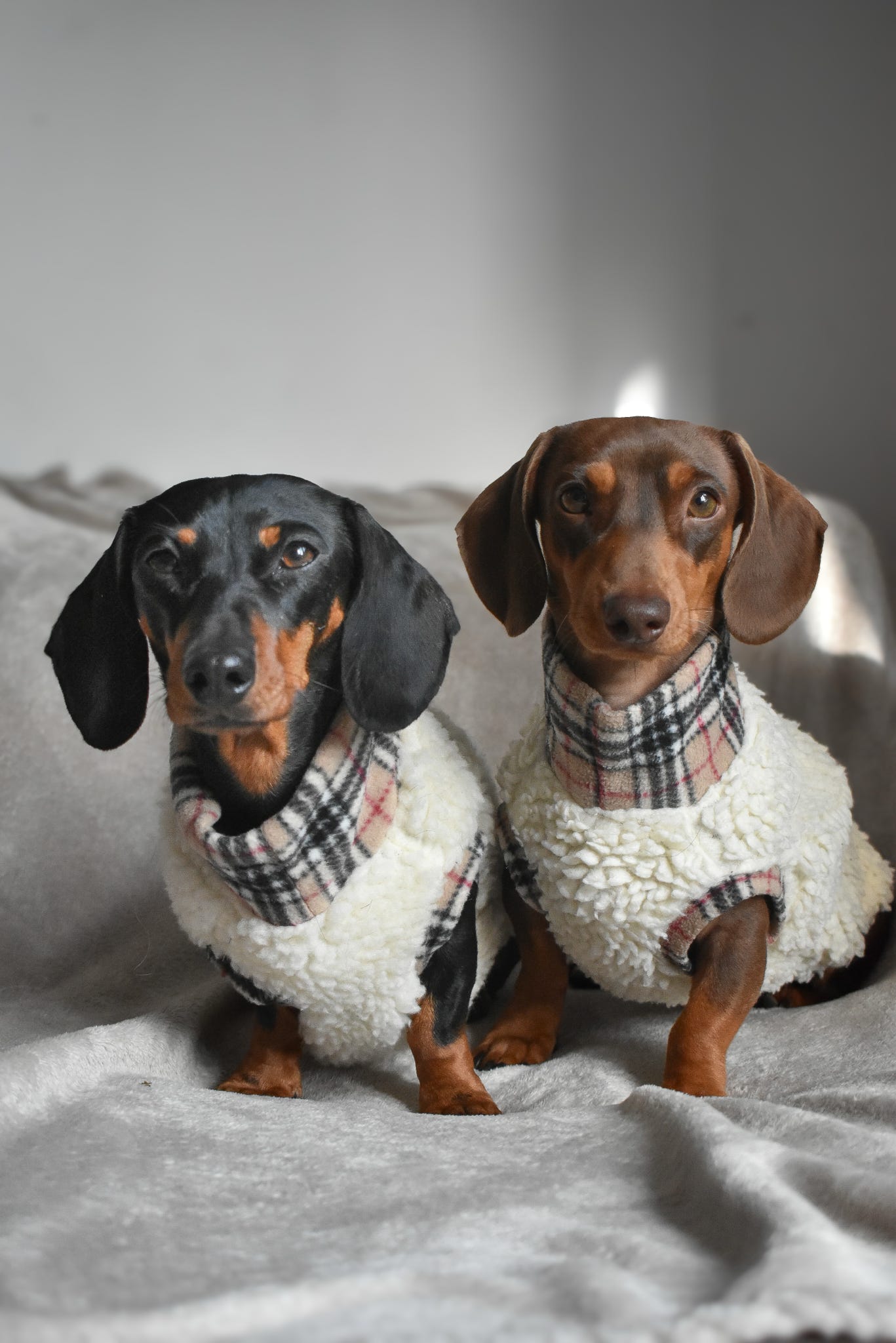 Tartan Sheep Fleece Dog Jumper – Thermal, Rainproof & Machine Washable - Hugo and Ted