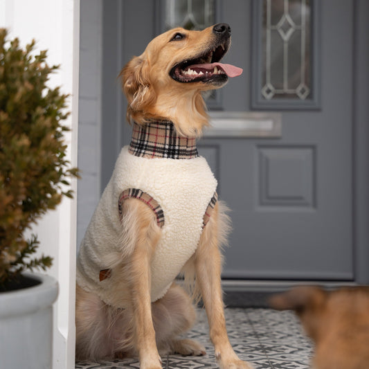 Tartan Sheep Fleece Dog Jumper – Thermal, Rainproof & Machine Washable - Hugo and Ted