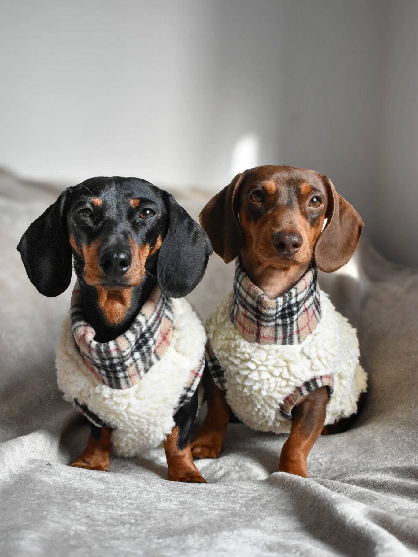 Tartan Sheep Fleece Dog Jumper – Thermal, Rainproof & Machine Washable - Hugo and Ted