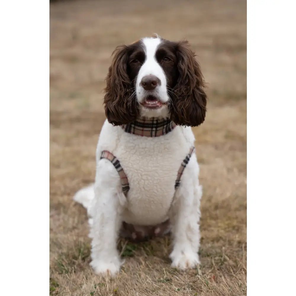 Tartan Sherpa Fleece Dog Jumper - Made to Measure - Hugo and Ted