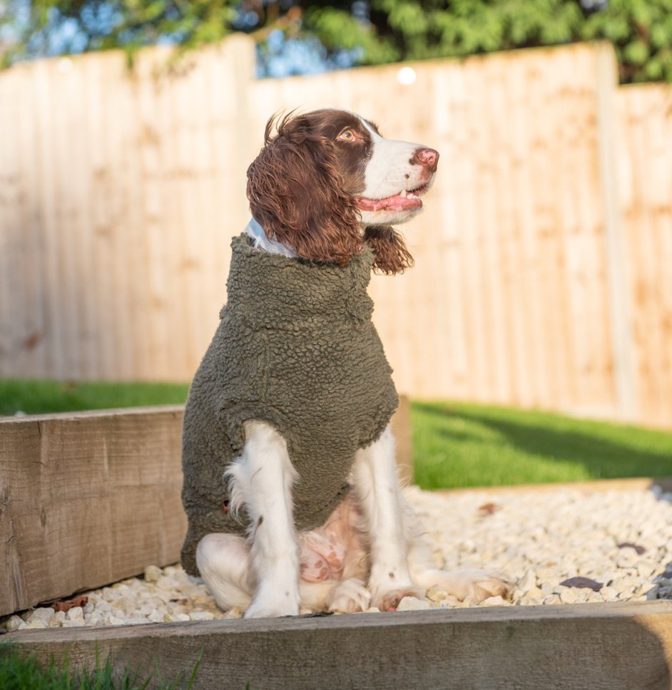 Teddy Bear Dog Fleeces - Hugo and Ted