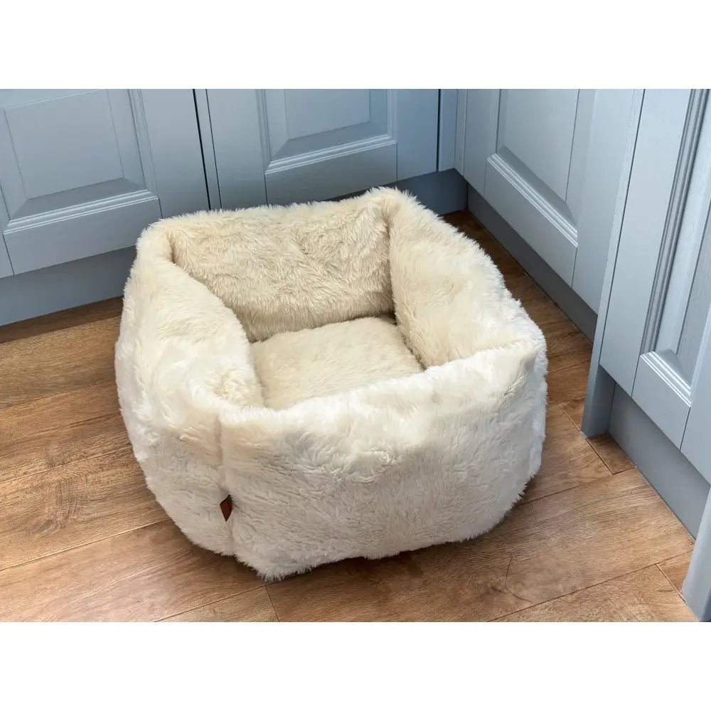 Teddy Box Bed - Removable Covers, Machine Washable - Hugo and Ted