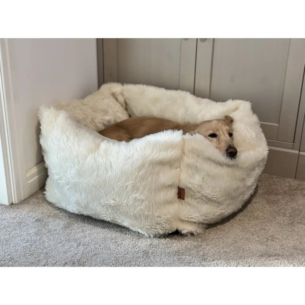 Teddy Box Bed - Removable Covers, Machine Washable - Hugo and Ted