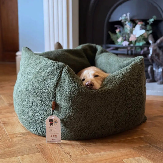 Teddy Box Bed - Removable Covers, Machine Washable - Hugo and Ted
