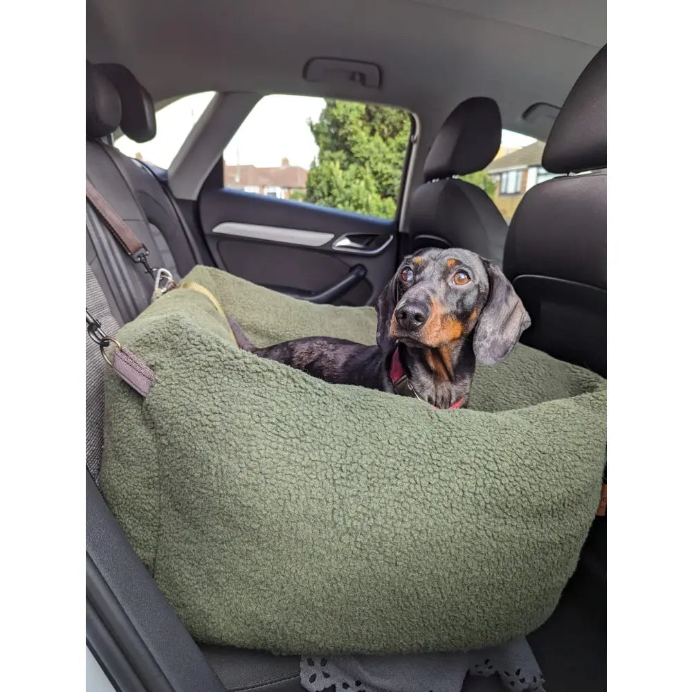 Teddy Car Beds - Hugo and Ted