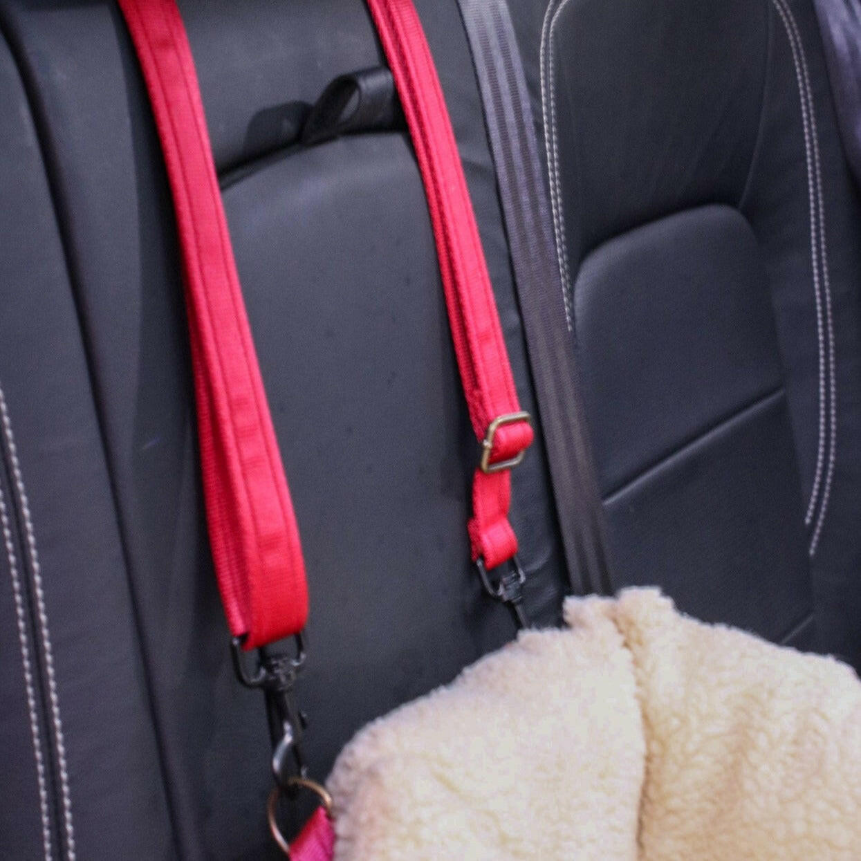 Teddy Car Beds - Hugo and Ted