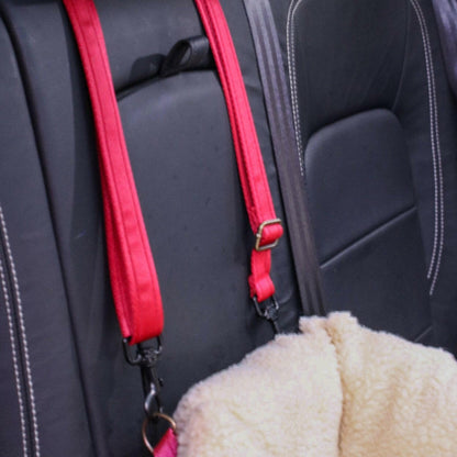 Teddy Car Beds - Hugo and Ted