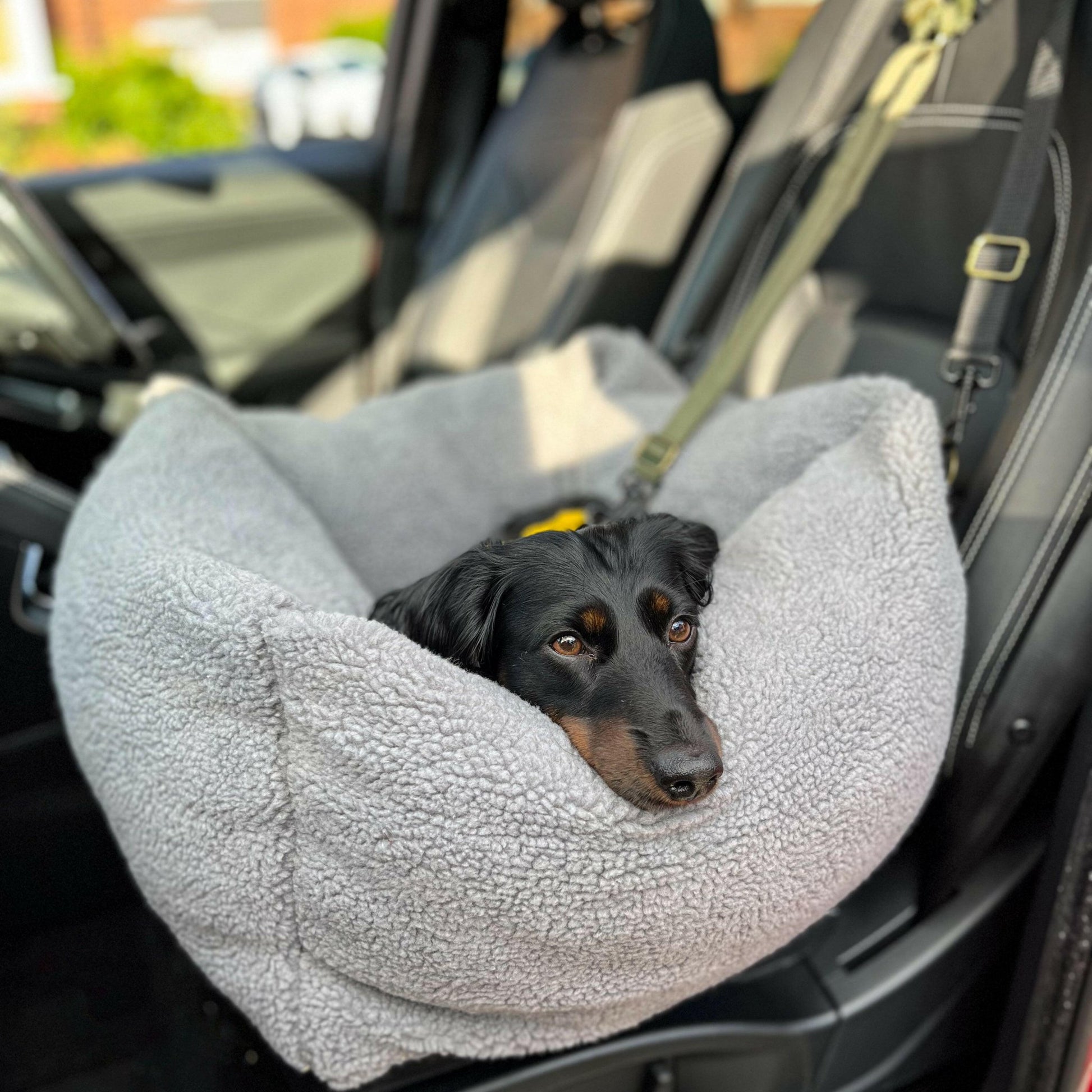 Teddy Car Beds - Hugo and Ted