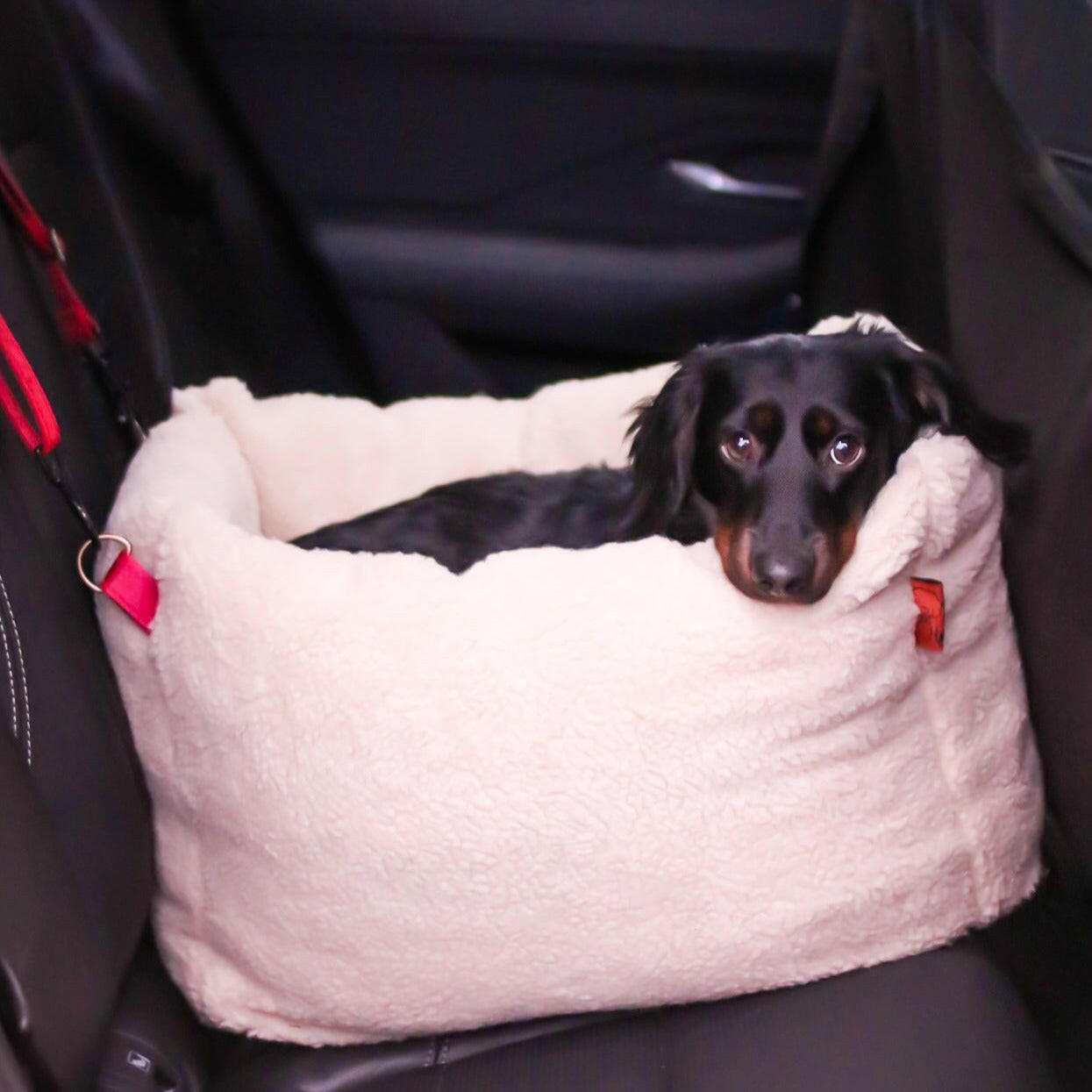 Teddy Car Beds - Hugo and Ted