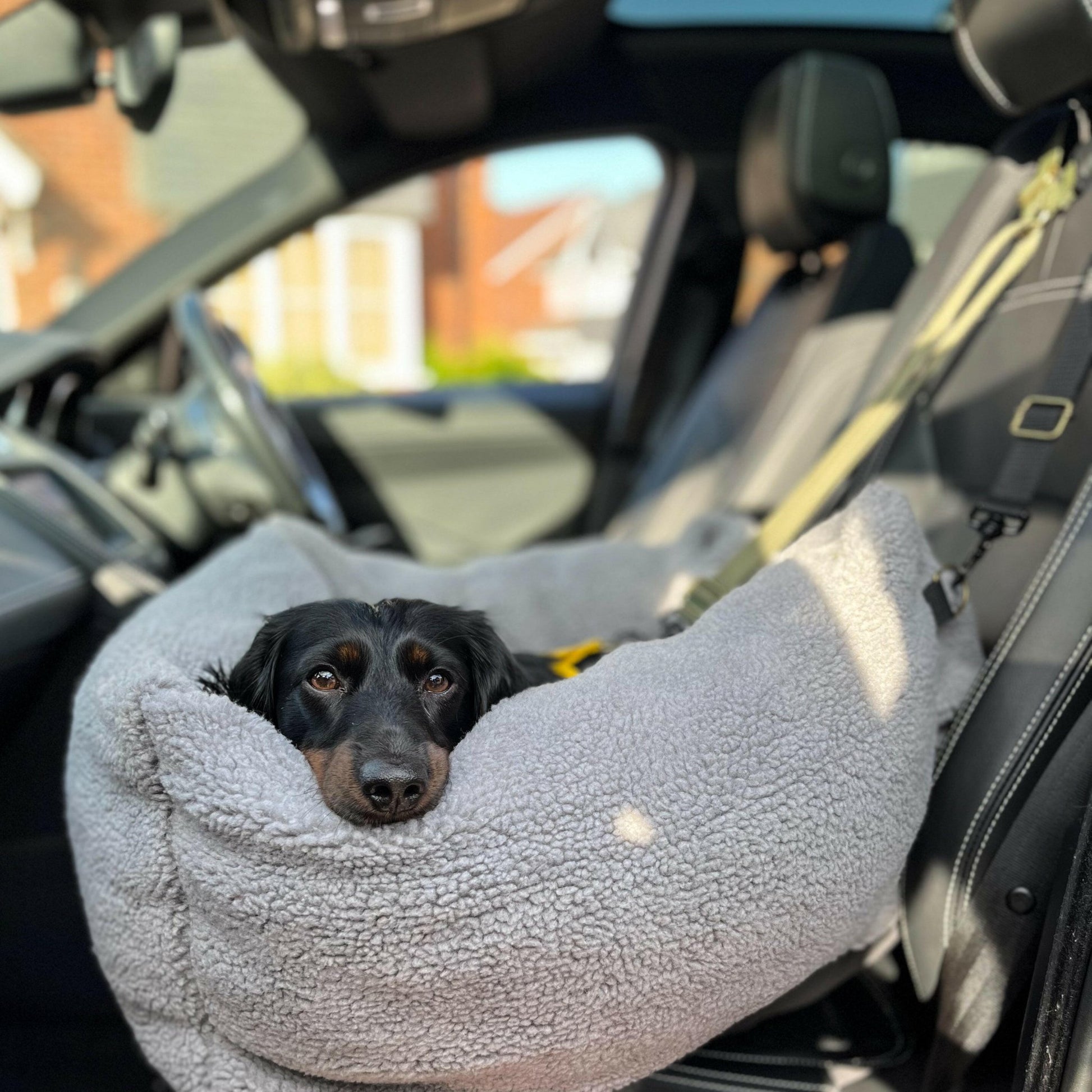 Teddy Car Beds - Hugo and Ted