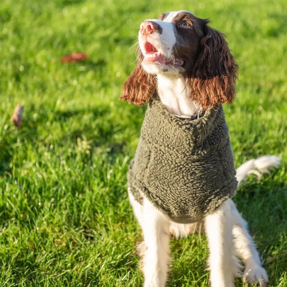 Teddy Fleece Dog Jumper - Made to Measure - Hugo and Ted