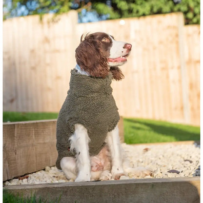 Teddy Bear Dog Fleeces - Hugo and Ted