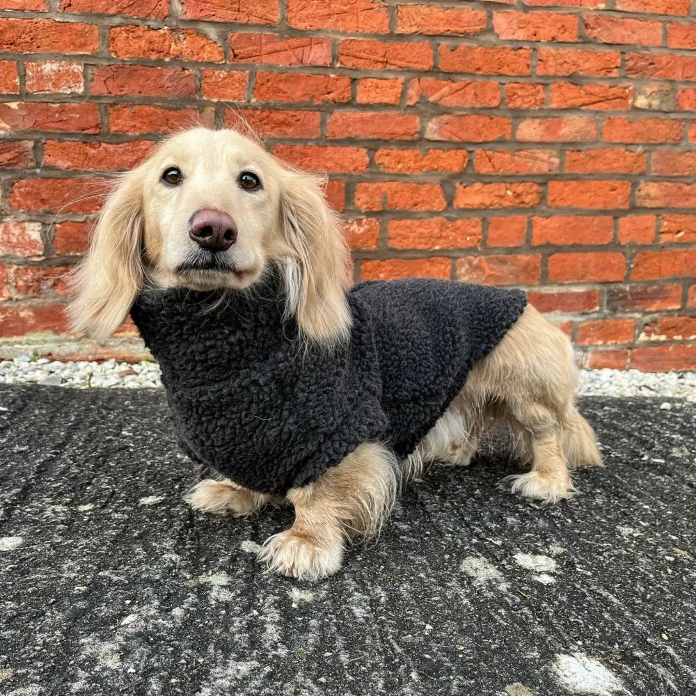 Teddy Fleece Dog Jumper - Made to Measure - Hugo and Ted