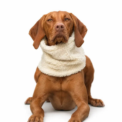 Teddy Fleece Dog Snood - 4 Sizes, Made to Order | Hugo and Ted - Hugo and Ted