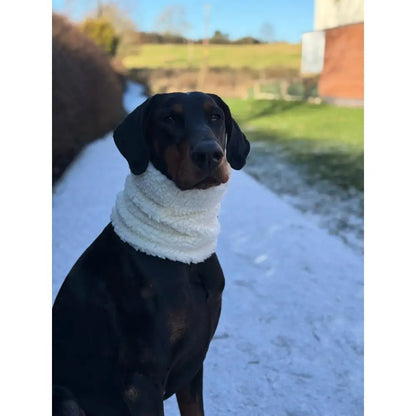 Teddy Fleece Dog Snood - 4 Sizes, Made to Order | Hugo and Ted - Hugo and Ted