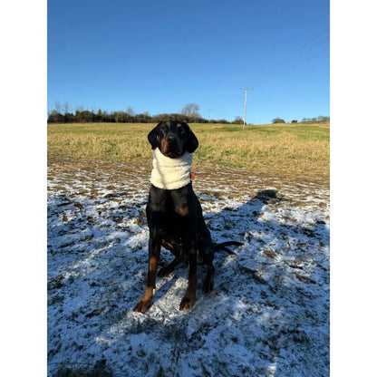 Teddy Fleece Dog Snood - 4 Sizes, Made to Order | Hugo and Ted - Hugo and Ted