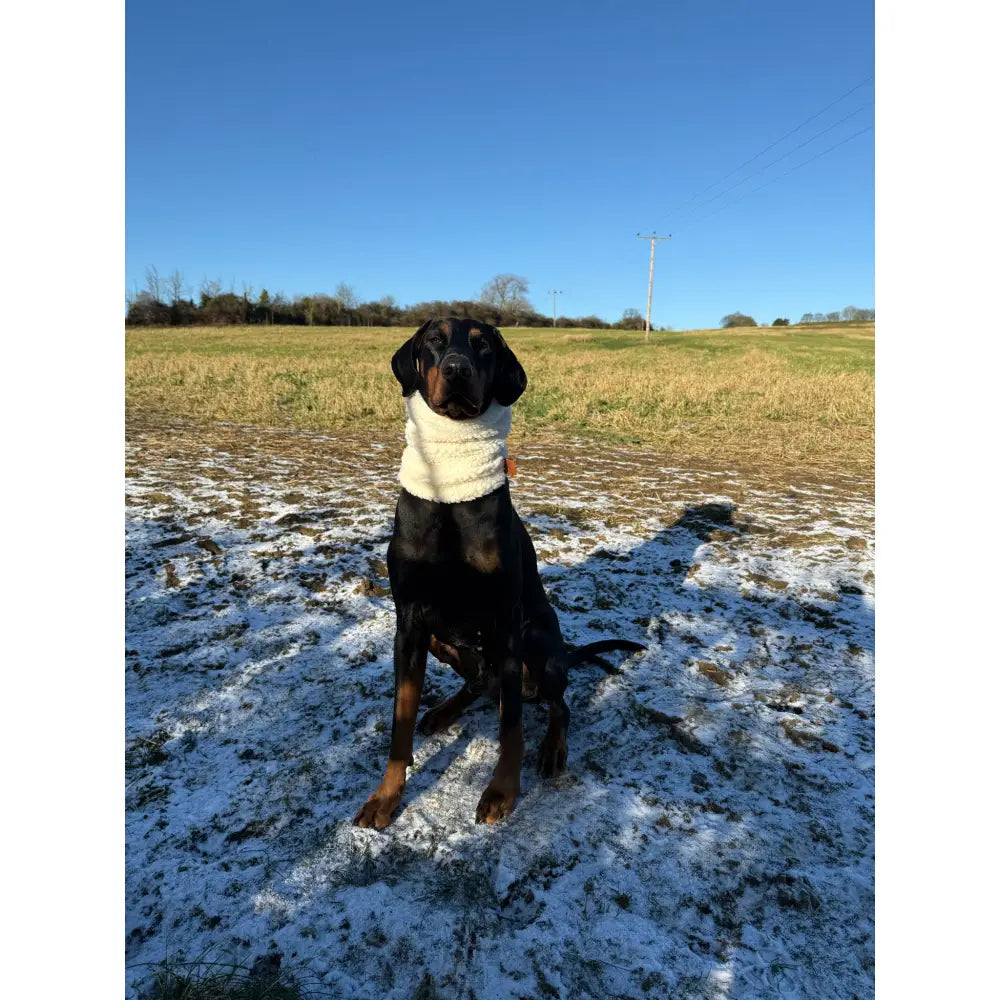 Teddy Fleece Dog Snood - Hugo and Ted
