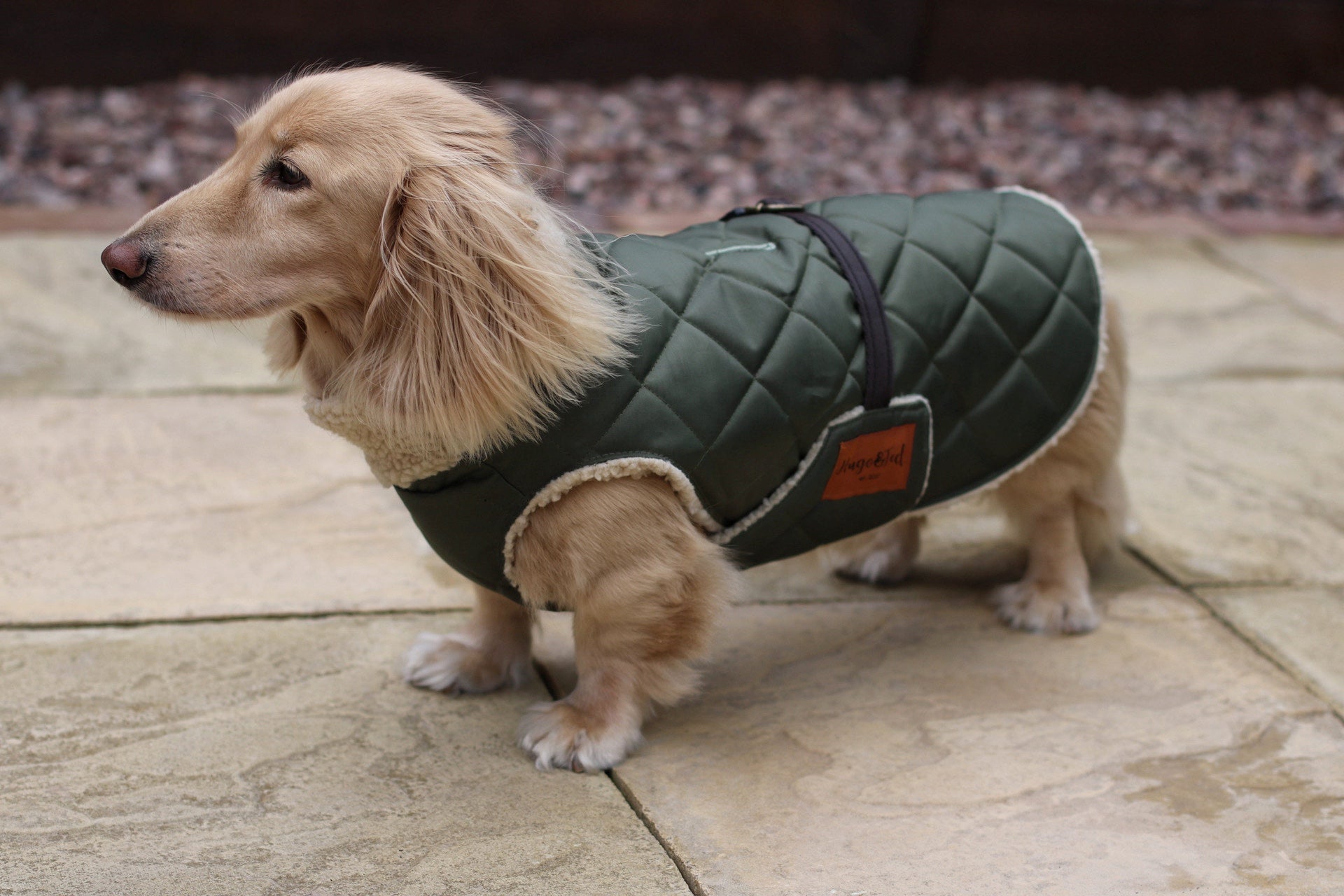 Teddy Fleece Lined Quilted Ultimate Walkies Waterproof Dog Coat for Wet Weather Adventures - Hugo and Ted