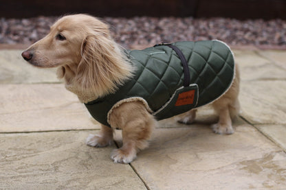 Teddy Fleece Lined Quilted Ultimate Walkies Waterproof Dog Coat for Wet Weather Adventures - Hugo and Ted