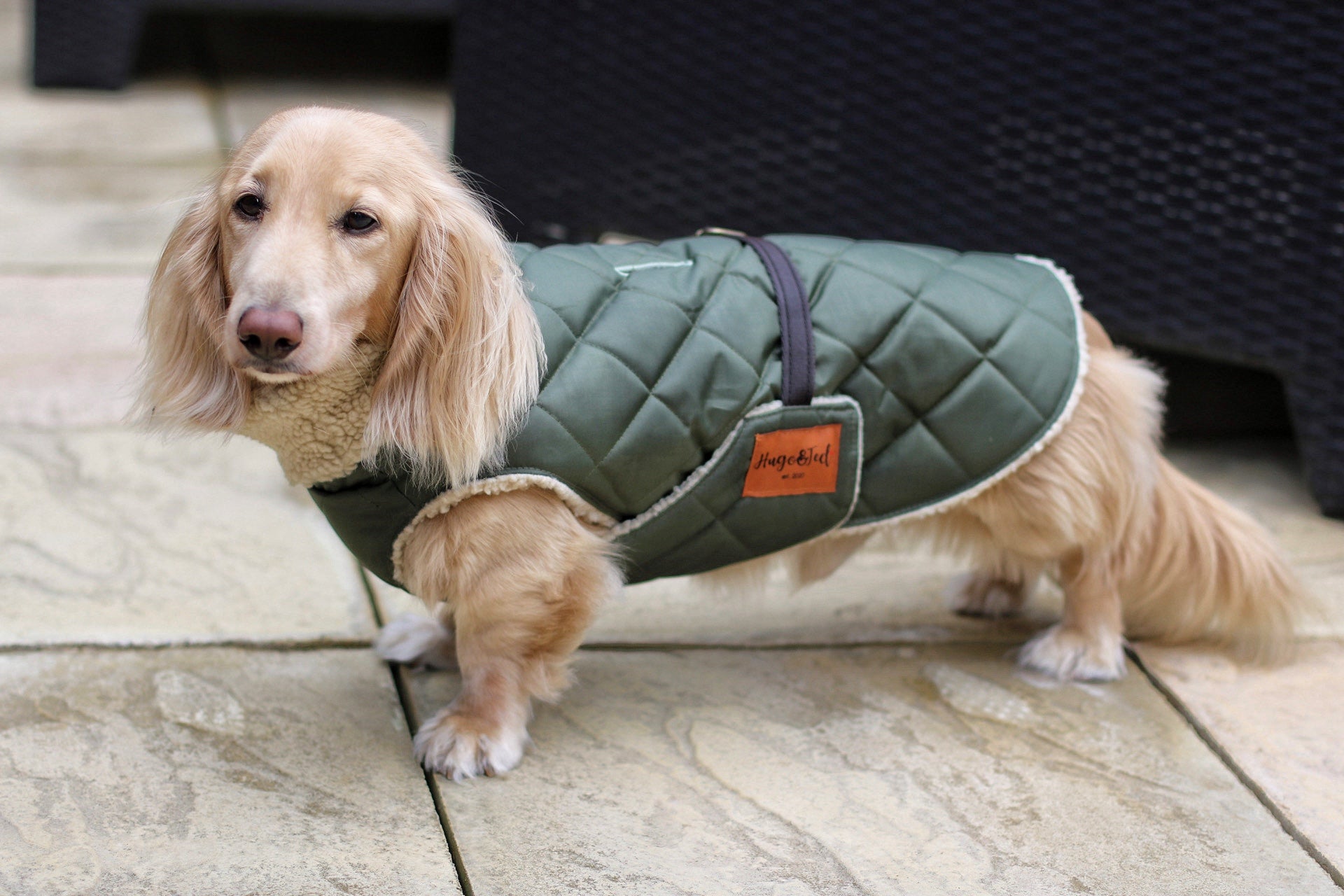 Teddy Fleece Lined Quilted Ultimate Walkies Waterproof Dog Coat for Wet Weather Adventures - Hugo and Ted