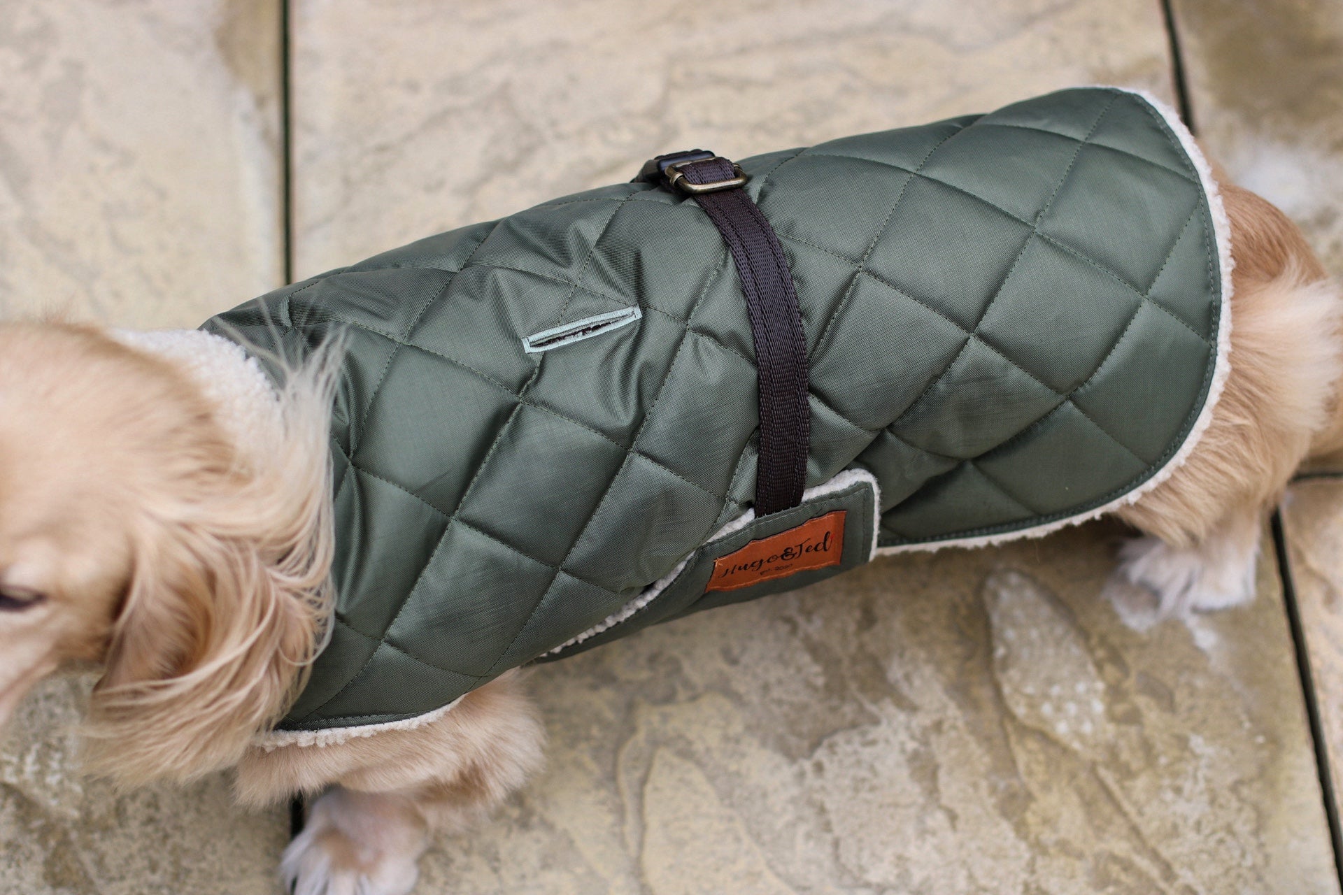 Teddy Fleece Lined Quilted Ultimate Walkies Waterproof Dog Coat for Wet Weather Adventures - Hugo and Ted