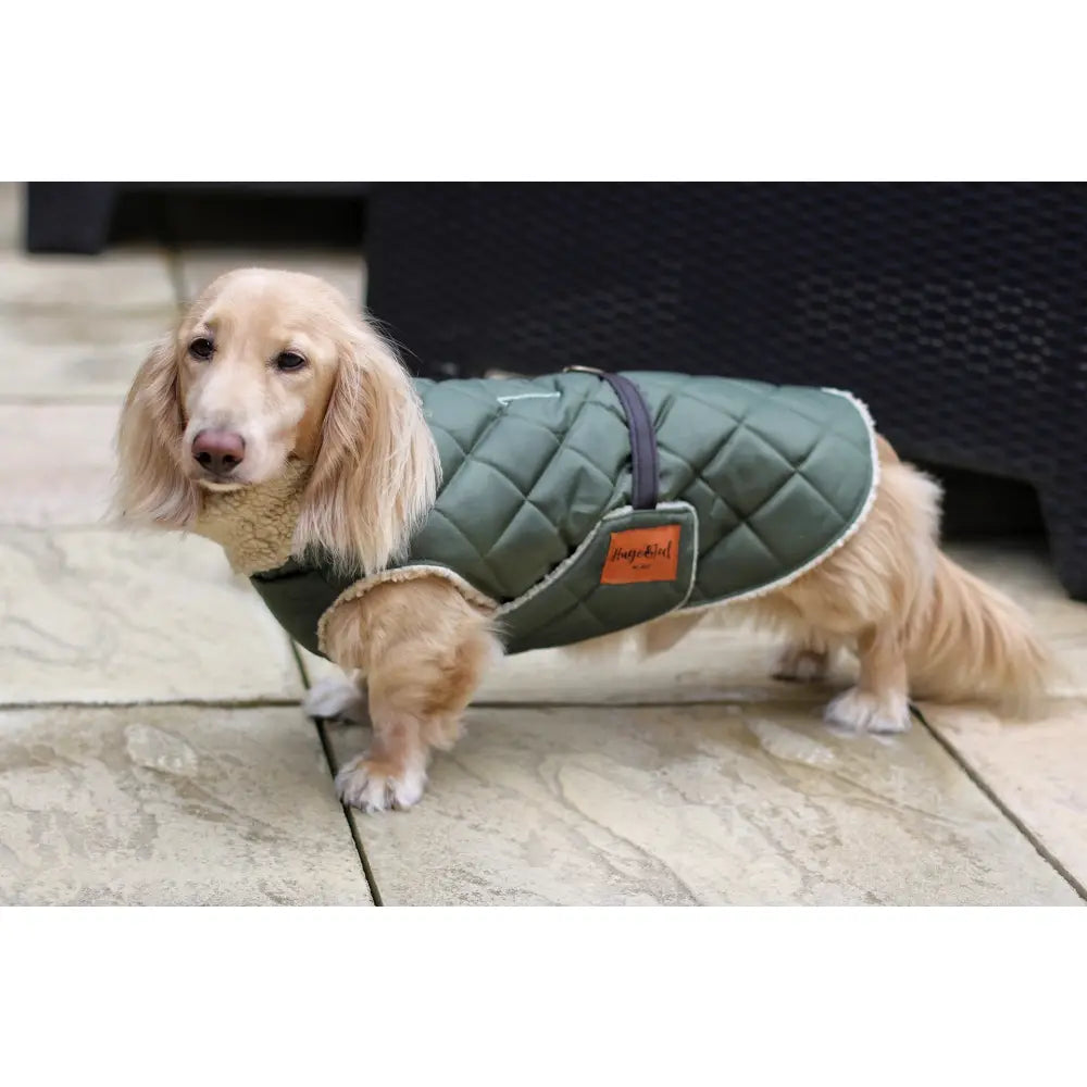 Teddy Fleece Lined Quilted Ultimate Walkies Waterproof Dog Coat for Wet Weather Adventures - Hugo and Ted