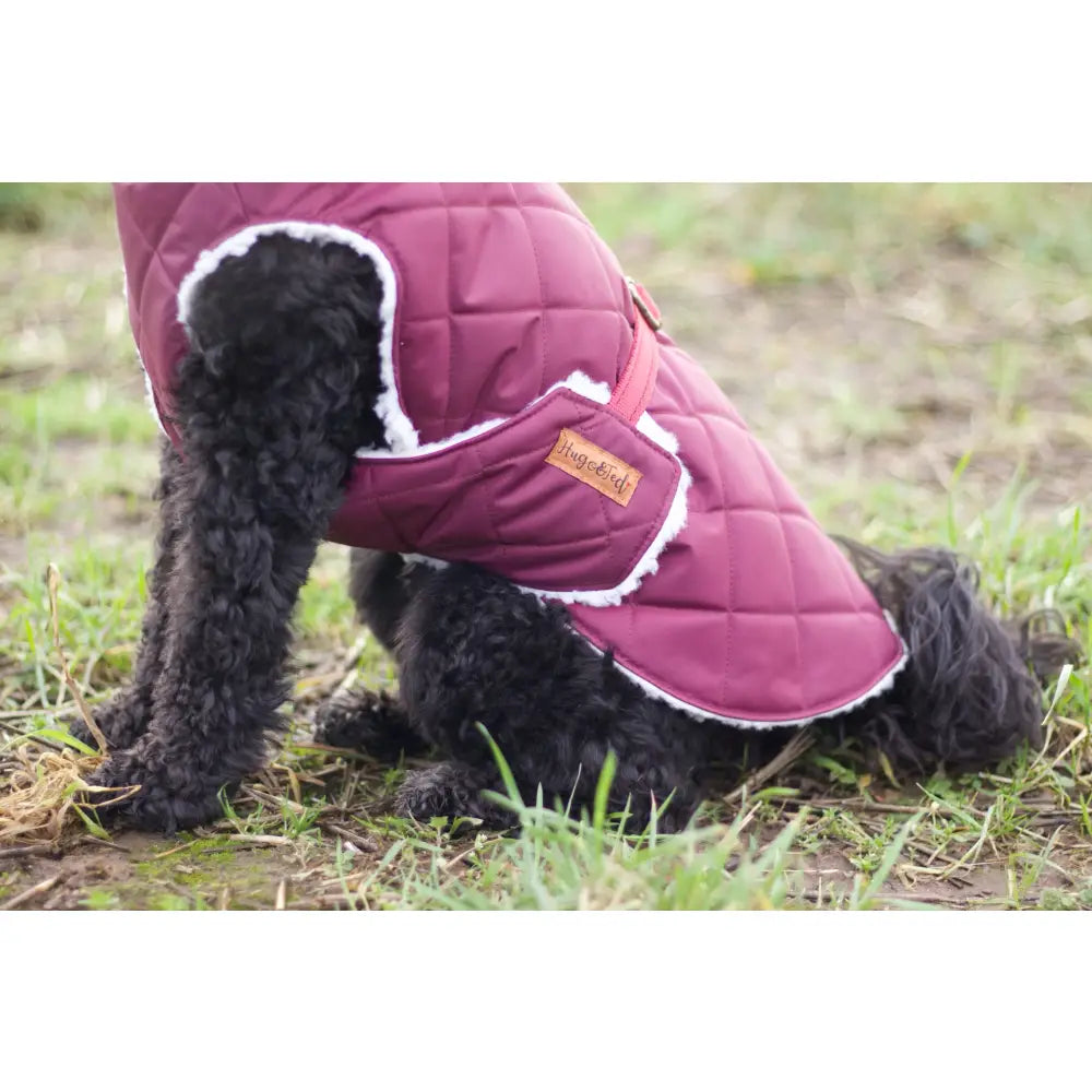 Teddy Fleece Lined Quilted Waterproof Ultimate Walkies Coat - Made to Measure - Hugo and Ted