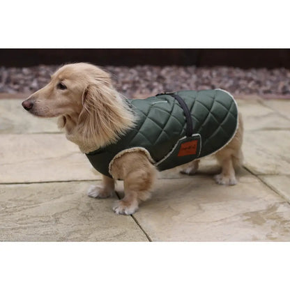 Teddy Fleece Lined Quilted Ultimate Walkies Waterproof Dog Coat for Wet Weather Adventures - Hugo and Ted