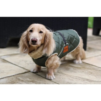 Teddy Fleece Lined Quilted Ultimate Walkies Waterproof Dog Coat for Wet Weather Adventures - Hugo and Ted