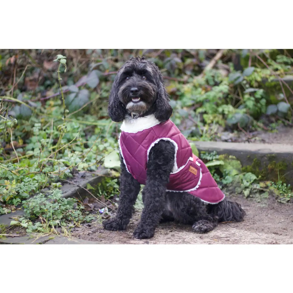 Teddy Fleece Lined Quilted Waterproof Ultimate Walkies Coat - Made to Measure - Hugo and Ted