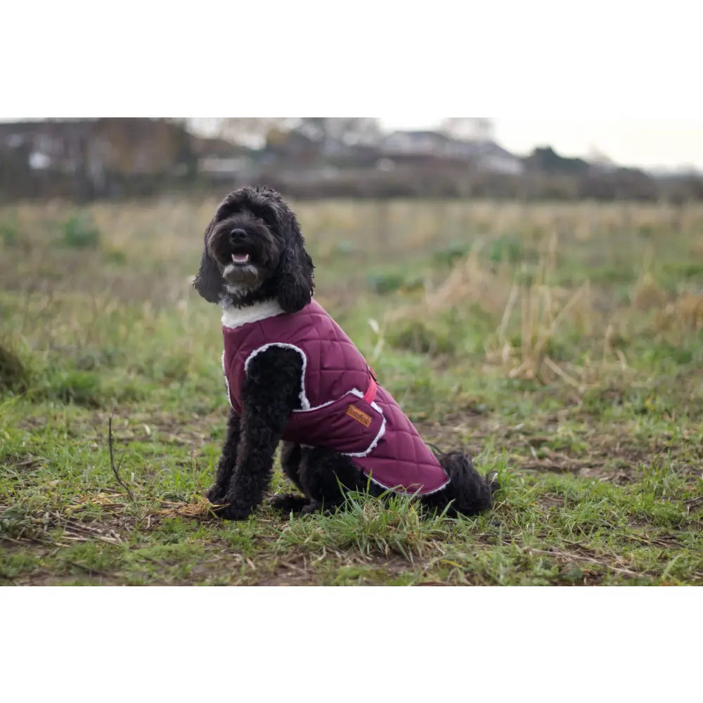 Teddy Fleece Lined Quilted Waterproof Ultimate Walkies Coat - Made to Measure - Hugo and Ted