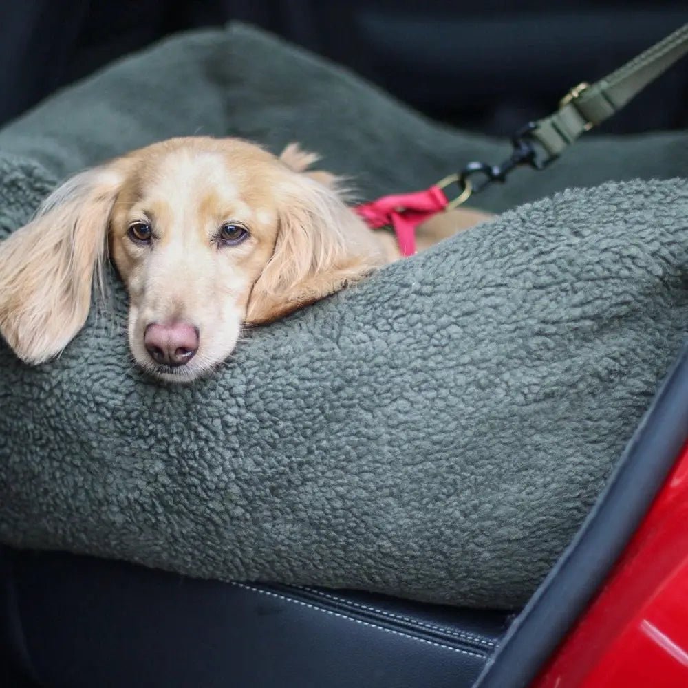 Teddy Fleece Waterproof Base Dog Car Seat Bed - 3 Sizes, Removable Covers, Machine Washable - Hugo and Ted