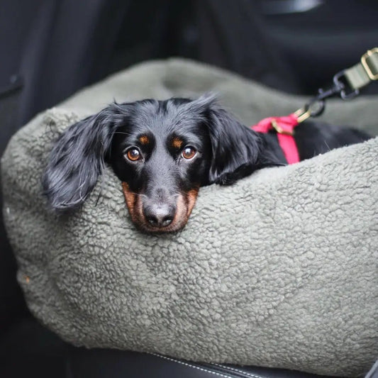 Teddy Fleece Waterproof Base Dog Car Seat Bed - 3 Sizes, Removable Covers, Machine Washable - Hugo and Ted