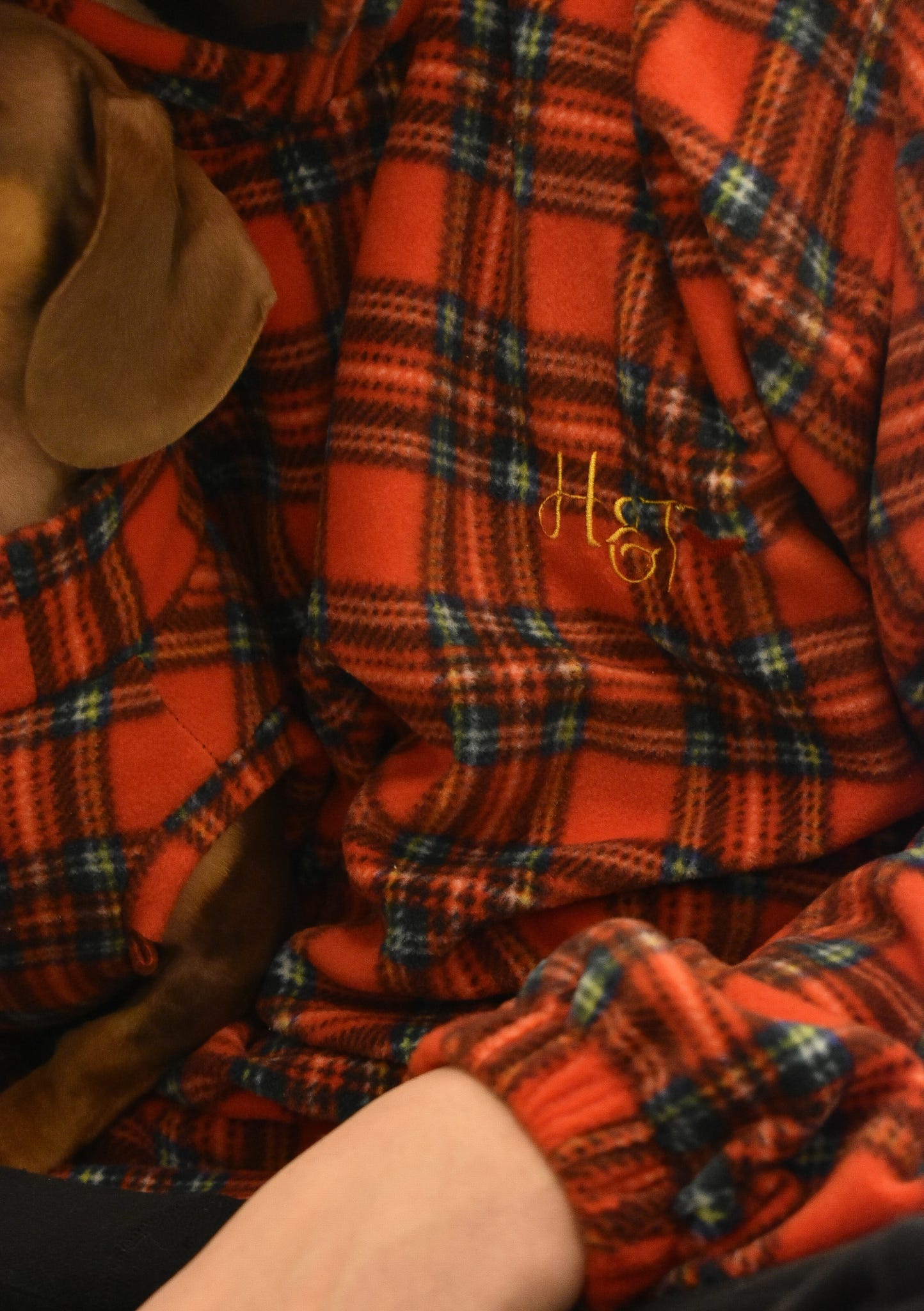 The Christmas Teddle Hoodie (Limited Christmas Edition) - Hugo and Ted