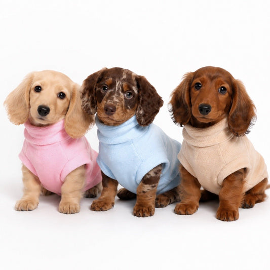 The Coming Home Jumper ® Puppy Jumper for New Dogs - Hugo and Ted