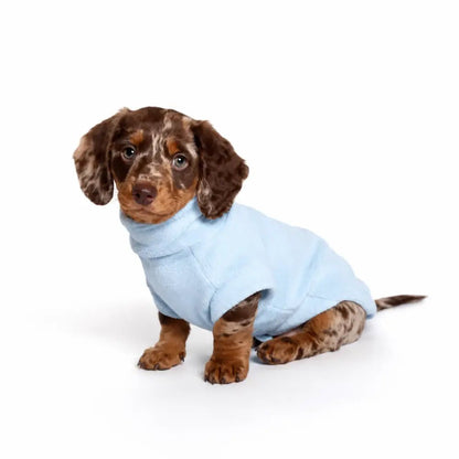 The Coming Home Jumper ® | Puppy Jumper for New Dogs | Hugo and Ted - Hugo and Ted