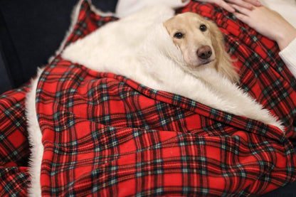 The Cuddle, Nap and Wrap - Hugo and Ted