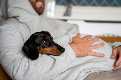 The Hoogle Pet Cuddle Hoodie – Soft Cotton Sweatshirt with Adjustable Pouch and Teddy Fleece Lining - Hugo and Ted