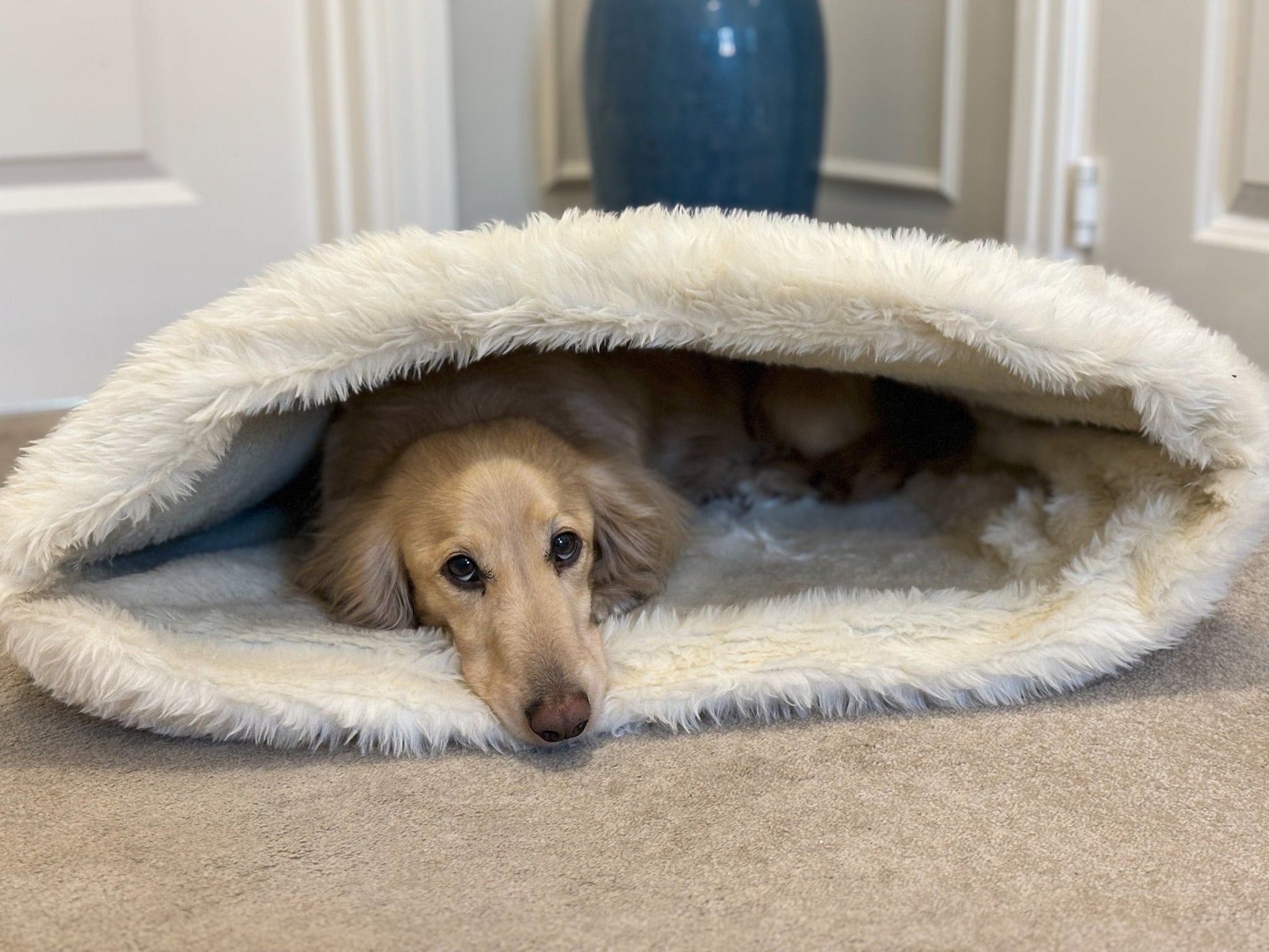 Toby Tartan Collection Snuggle Sacks - Hugo and Ted