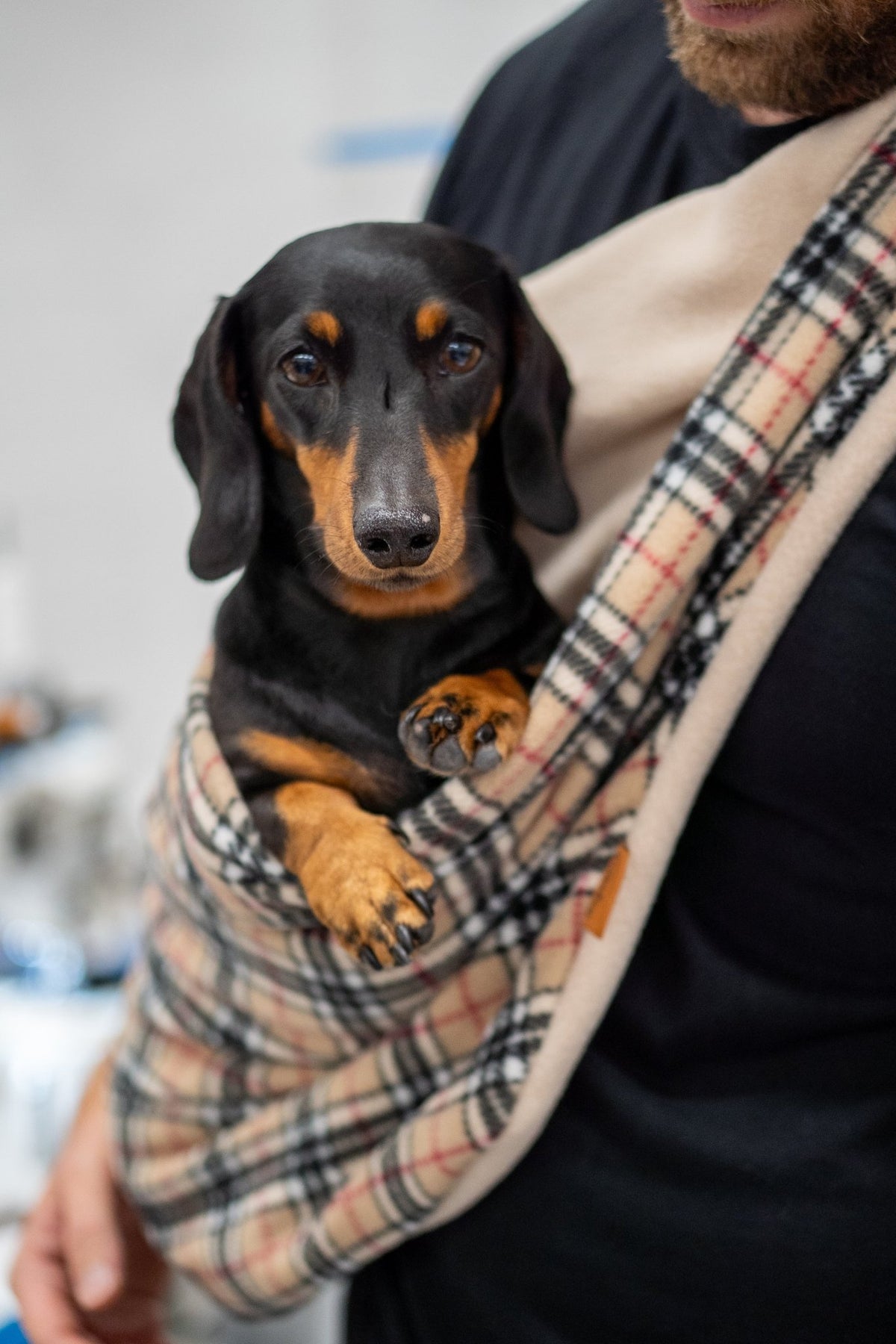 Two Tone Fleece Dog Sling Carrier - Multiple Sizes, Made to Order - Hugo and Ted