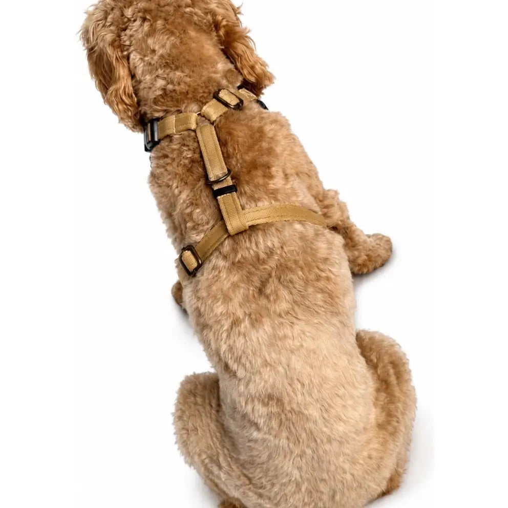 Venture Harness