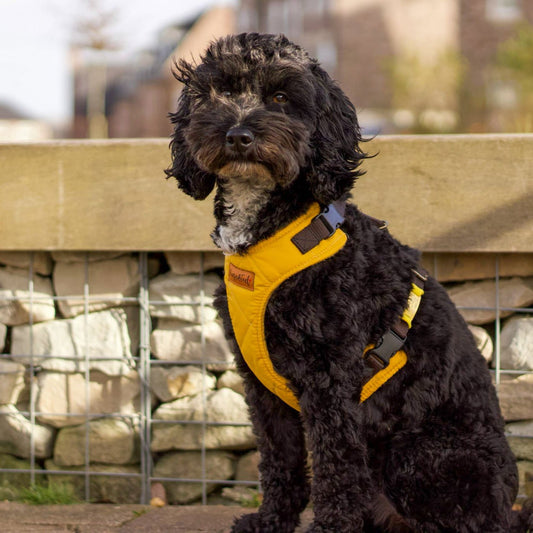 Venture Harnesses – Waterproof and Fleece Lined Step - In Dog Harness - Hugo and Ted