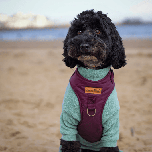 Venture Harnesses – Waterproof and Fleece Lined Step - In Dog Harness - Hugo and Ted