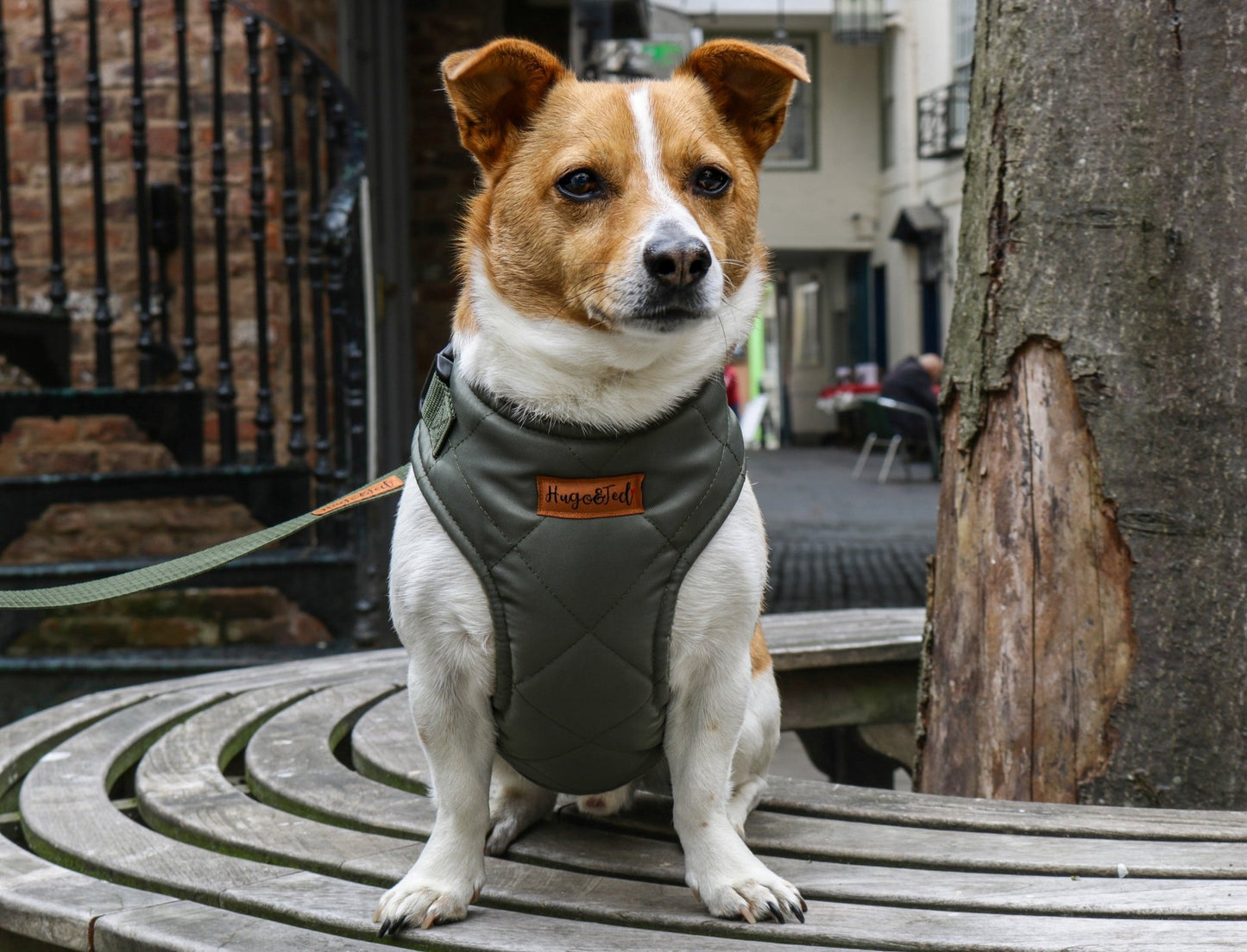 Venture Harnesses – Waterproof and Fleece Lined Step - In Dog Harness - Hugo and Ted