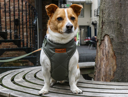 Venture Harnesses – Waterproof and Fleece Lined Step - In Dog Harness - Hugo and Ted