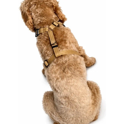 Venture Waterproof Step-In Dog Harness - Made to Measure, All Breeds | Hugo and Ted - Hugo and Ted