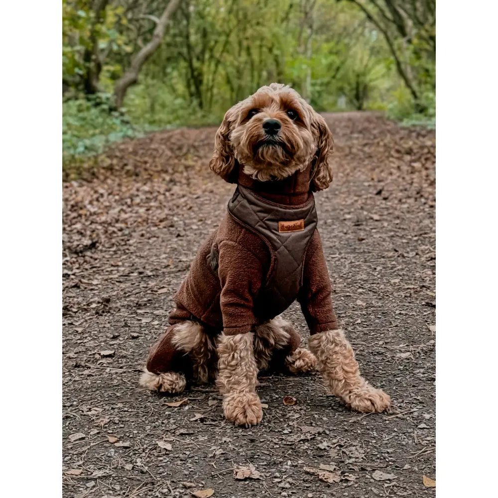 Venture Waterproof Step-In Dog Harness - Made to Measure, All Breeds | Hugo and Ted - Hugo and Ted