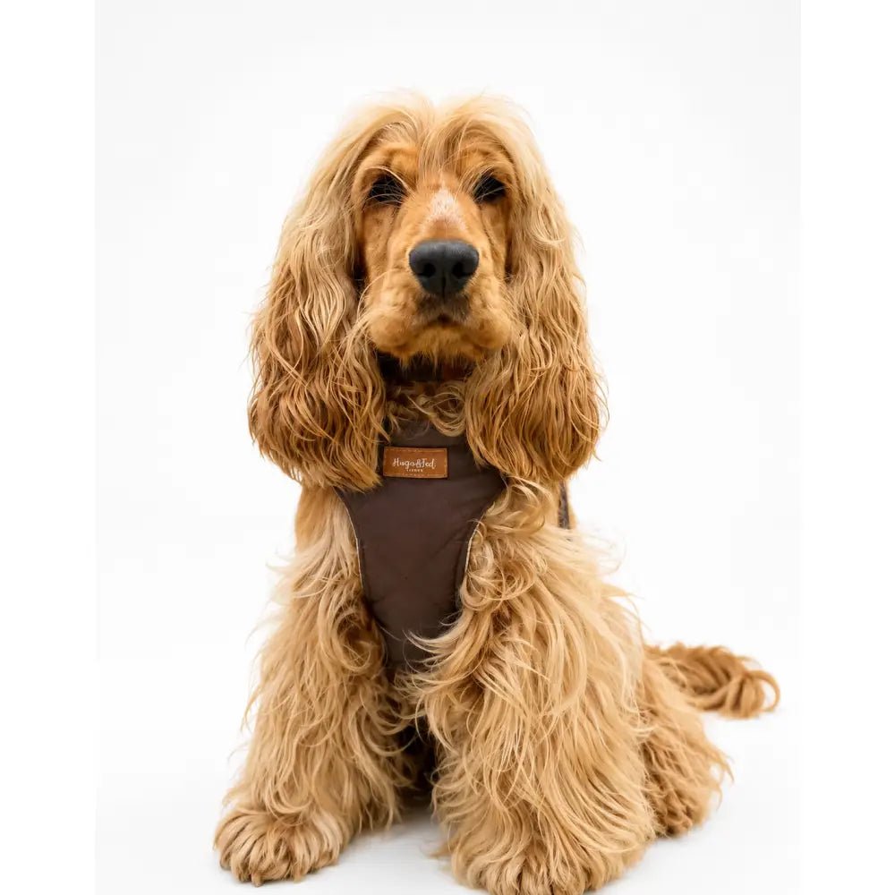 Venture Waterproof Step-In Dog Harness - Made to Measure, All Breeds | Hugo and Ted - Hugo and Ted
