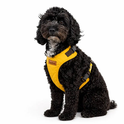 Venture Waterproof Step-In Dog Harness - Made to Measure, All Breeds | Hugo and Ted - Hugo and Ted