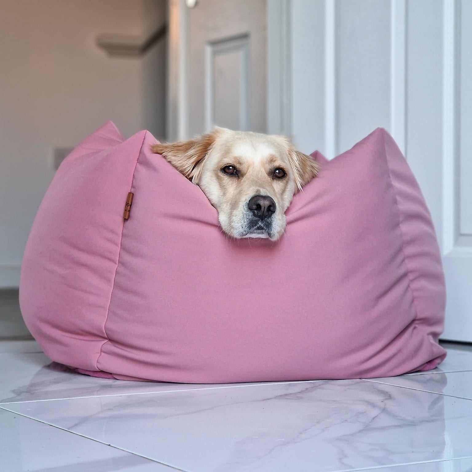 Waterproof Box Beds - Hugo and Ted